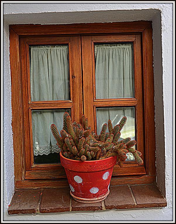 Hostal La Carrihuela Algodonales Exterior foto